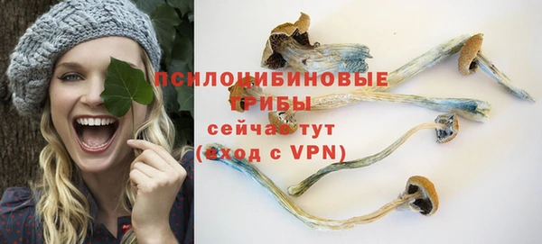 сатива Заволжье