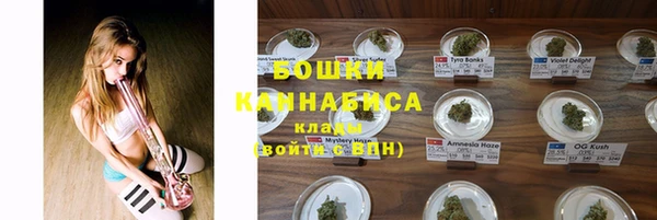 сатива Заволжье