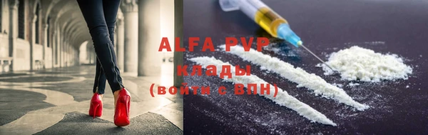 сатива Заволжье