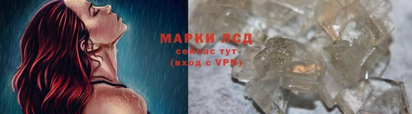 сатива Заволжье