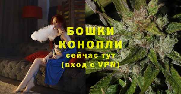 сатива Заволжье