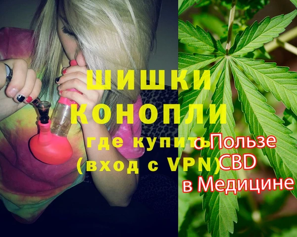 сатива Заволжье